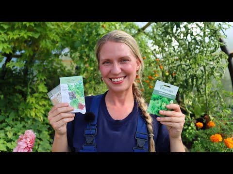 The Garden in September 🌱 fall gardening tasks, greenhouse cleaning, seeds to sow, and a garden tour