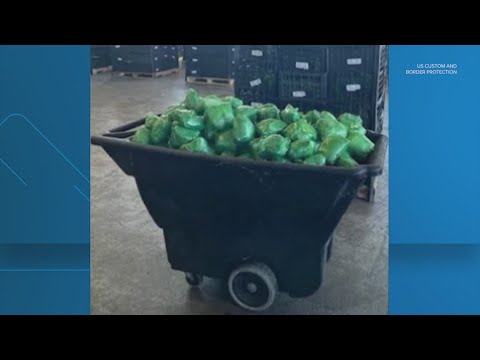 $31 million worth of meth found hidden inside serrano peppers, U.S. CBP says