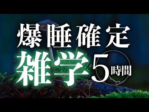 【睡眠導入】爆睡確定雑学5時間【合成音声】