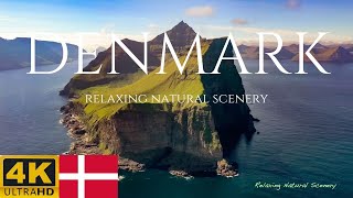 🇩🇰🇩🇰🇩🇰🇩🇰Beautiful Scenery In Denmark-- Scenic Relaxation Film With Soothing Nature Sounds.🌲🌲