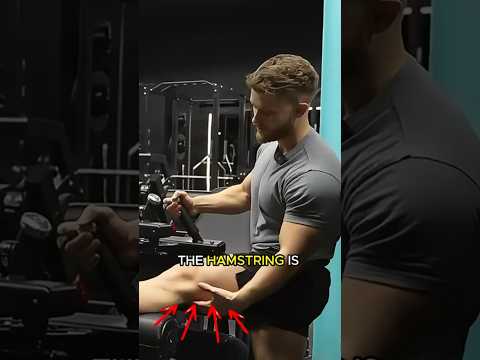 Jeff Nippard FIXED my hamstring curl