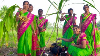 PONGAL CELEBRATION in Our Village | We celebrate Our Traditional Festival | Village Pongal Festival