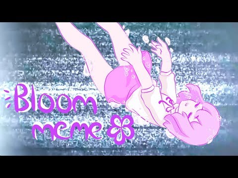 ✿ bloom ✿  |   ~meme~