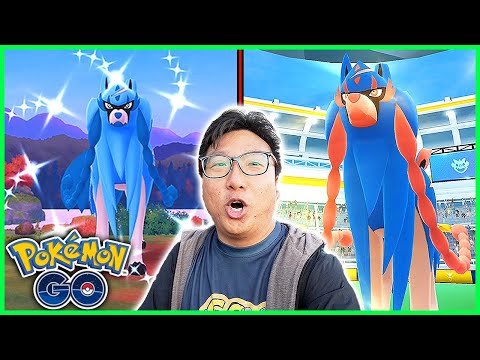 The Most Insane Zacian Raid Hour in Oslo, Norway With Shundo Zacian Caught! - Pokemon GO