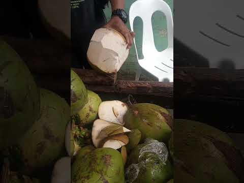 satisfying coconut cutting skills Asmr #cuttingskils #streetfood #youtubeshorts @GatchieJr33