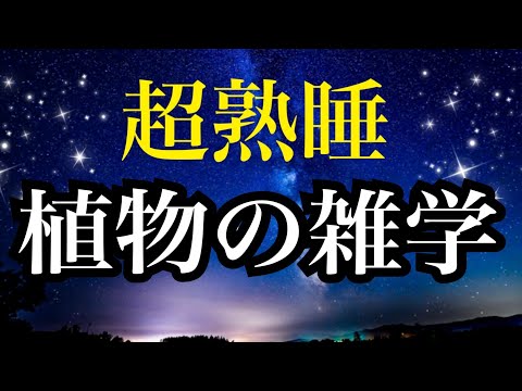 【睡眠雑学】植物の雑学　ヘェ〜な雑学１時間　【睡眠導入】安眠　熟睡