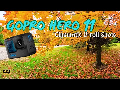 GoPro HERO11 | 4K Cinematic B-roll Shots