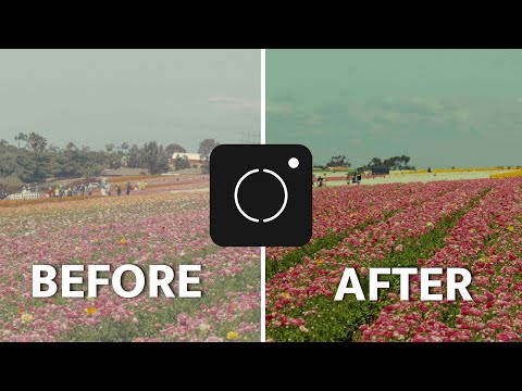 Uploading LUTs to your phone!