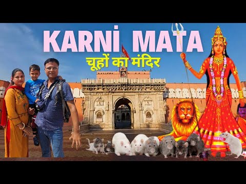 Karni Mata Mandir: " मन्दिर जहा लगभग 25000 चूहे हैं " || Navratri 2024 Special Vlogs