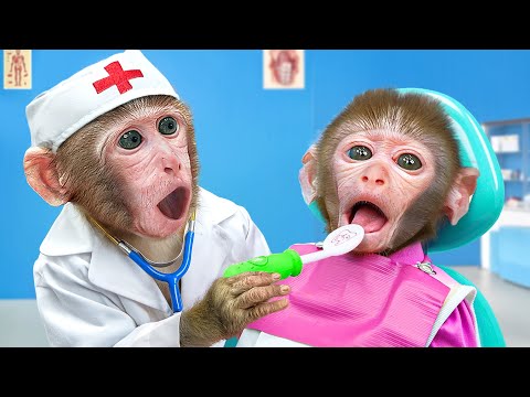 KiKi Monkey Take Care of Health when brother Visit to The Dentist with Toothache | KUDO ANIMAL KIKI