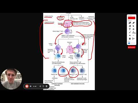 MCAT Question of the Day: Immune System Response