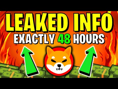 SHIBA INU CEO REVEALED SECRET PRICE PUMP IN 48 HOURS EXACTLY!!! - EXPLAINED