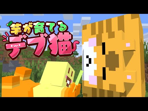 【マイクラ】デブ猫が太ってきたｗｗｗイモデブ猫生活Part2【からつけあっきぃ/AMPTAK】