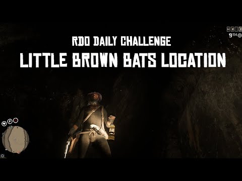 Easy Spot Little Brown Bats Red Dead Online Daily Challenge - Red Dead Redemption 2 (RDR2) #shorts