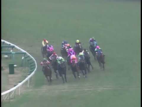 ヤマニンゼファー 1993年 第27回スプリンターズステークス(GI) (優勝馬：サクラバクシンオー)