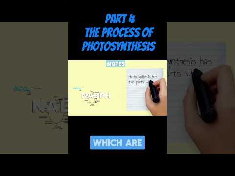 PART 4: THE PROCESS OF PHOTOSYNTHESIS #science