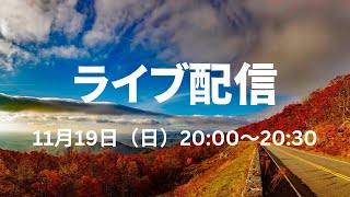 【ライブ】猫とスピリチュアリティ🐱+１１２２ポータル