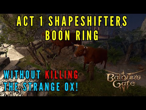 Baldur's Gate 3 - How to obtain the Shapeshifters Boon Ring without killing the Strange Ox.