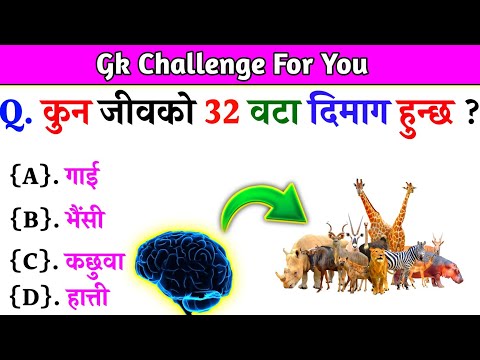 Gk Questions And Answers in Nepali।। Gk Questions।। Part 539।। Current Gk Nepal