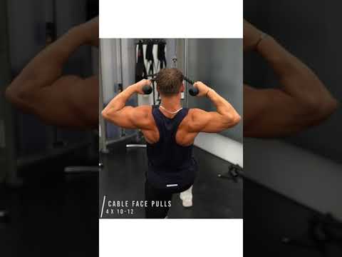 Back & Rear Delt Exercise