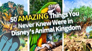 50 AMAZING Things You Never Knew Were in Disney's Animal Kingdom