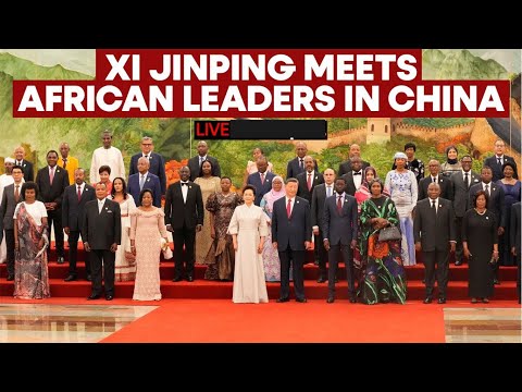 50 Heads Of State attended China-Africa Summit. What next?