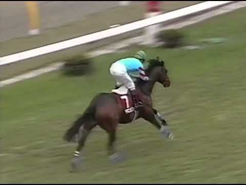 ヤマニンゼファー 1993年 第38回京王杯スプリングカップ(GII) (優勝馬：ヤマニンゼファー)(実況：ラジオたんぱ)