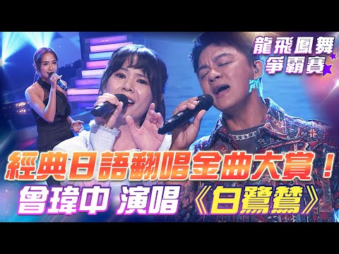 【超級冰冰Show 龍飛鳳舞爭霸賽】經典日語翻唱金曲大賞！曾瑋中演唱經典曲目《白鷺鷥》EP29