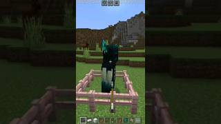 Minecraft Arrow pov #minecraft #viral