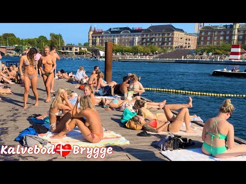 HOT DAY At🇩🇰Kalvebod Brygge Harbor Beach | Copenhagen, Denmark | 4K Beach Walk | September 2024