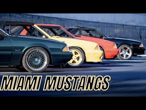 Miami Mustang Club's Extraordinary Built Foxbody Mustangs: A Closer Look