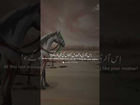 Waqt e Raftan 🎵 Mahmoud Karimi | UR/EN Subtitles | نماهنگ وقت رفتن - محمود کریمی