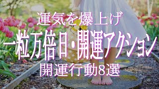 運気を爆上げする一粒万倍日の開運アクション8選　一粒万倍日にするといいことベスト８！　実践することでどんどん上昇のスパイラルに乗っていきましょう　ヘアカットは吉？　ショッピングは吉？　アセンション