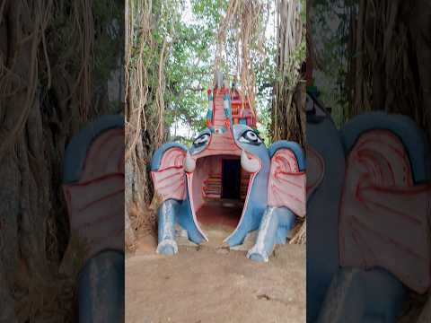 Elephant Mouth Temple in Deep Forest 😍 🛕 #temple #trending #spectacular #beautiful #deepforest