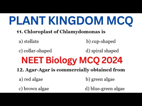 Plant Kingdom MCQ | Biology MCQ 2024 | NEET 2024 MCQ | Class 11 Biology