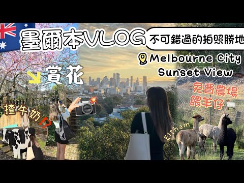 🇦🇺墨爾本VLOG免費農場餵羊仔🐏📍Eltham小鎮一日遊$5坐小火車+睇日落🌅Melbourne City Sunset View Point 推介‼️+South Yarra 食西餐A25