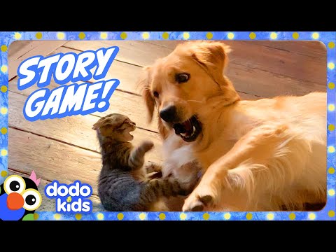 Play The Animal Story Game! What Will This Dog Do Next? | Dodo Kids | Games For Kids