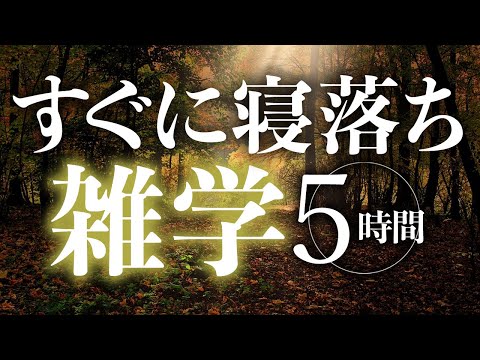 【睡眠導入】すぐに寝落ち雑学5時間【合成音声】