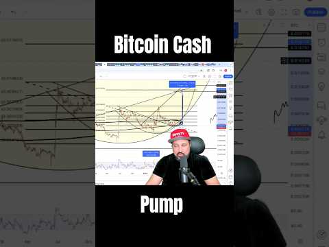 Bitcoin Cash Pump