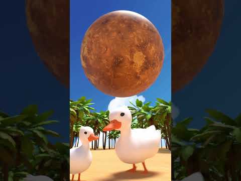 😝 Duck Vs Celestial oppression strikes the universe, astronomy, planet #duck  #animation #venus