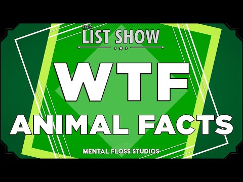 28 WTF Facts About Animals