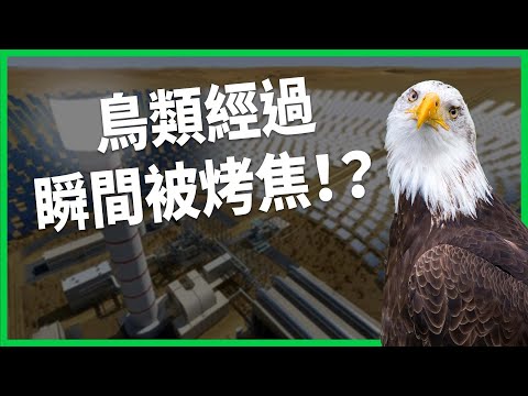 鳥類經過瞬間被烤焦！？ 美宣布加強美國太陽能產業！ 綠能真能跟上傳統電廠除役速度嗎？