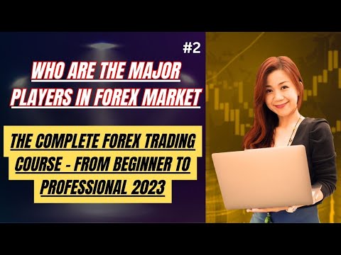 Who Are The Major Players In Forex Market? | Players on the Forex Market | What is Forex Market