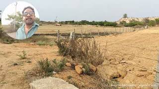 1 acre land for Sale in Shadnagar | Agriculture Land for Sale in Shadnagar