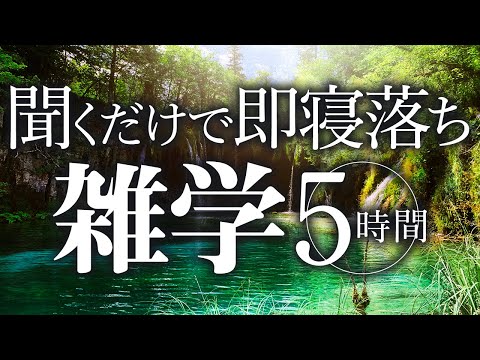 【睡眠導入】聞くだけで即寝落ち雑学5時間【合成音声】