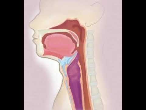 esophageal dysphagia type beat 2021