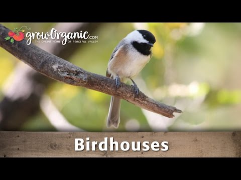 How to Utilize Birdhouses in Your Garden