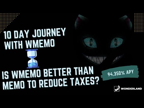 How Much Did I Earn From WMEMO In WONDERLAND | WHY YOU NEED TRADERJOEY TO FIND THE RIGHT BUYS