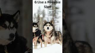 #shorts "Snowy Adventures: Guide to Dog Sledding Bliss!Part-2"