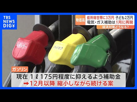 ガソリン補助金“延長”めぐり議論難航か　政府の経済対策案「今年12月以降縮小しながら続ける」に国民民主党・玉木代表「代替措置のない縮小は受け入れられない」｜TBS NEWS DIG